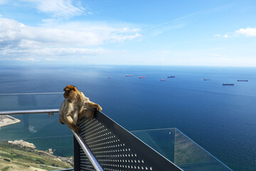 Gibraltar strait, view from Gibraltar rock.