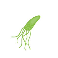 Helicobacter Pylori Vektor Illustration 