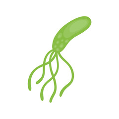 Helicobacter Pylori Vektor Illustration 