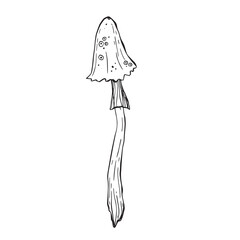 lineart magic poisonous mushroom element. Tattoo fungus design, trendy romance symbol. Witch amanita mushrooms for Halloween. Vector sketch toadstool illustration