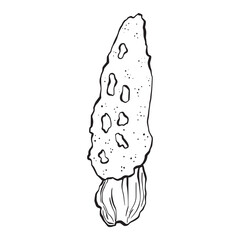 lineart magic poisonous mushroom element. Tattoo fungus design, trendy romance symbol. Witch amanita mushrooms for Halloween. Vector sketch toadstool illustration