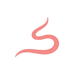 Pinworm Vektor Illustration 