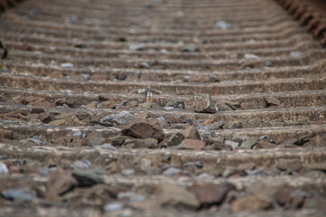 Detailaufnahme vom Gleisbett