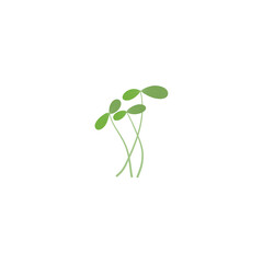 Microgreen Plant  Vektor Illustration 