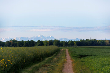 View over the fields in Inningen near Augsburg to the Alps