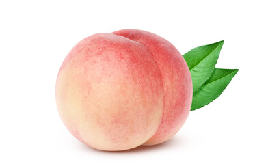 桃のイラスト リアル 白バック