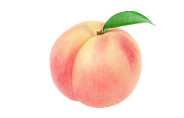 桃のイラスト リアル 白バック