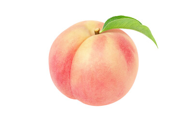 桃 イラスト リアル 白バック