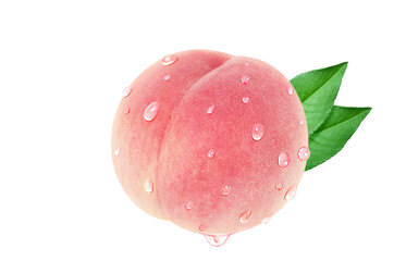 桃のイラスト リアル 白バック