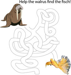 Labyrinth. Graphic illustration. Help the walrus get to the fish.