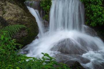 Obraz premium Beautiful Paglajhora waterfall on Kurseong, Himalayan mountains of Darjeeling, West Bengal, India. Origin of Mahananda River flowing through Mahananda Wildlife Sanctuary, Siliguri and Jalpaiguri.