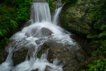 Paglajhora waterfall , famous waterfall in monsoon, at Kurseong, Himalayan mountains of Darjeeling, West Bengal, India. Origin of Mahananda River flowing through Mahananda Wildlife Sanctuary.