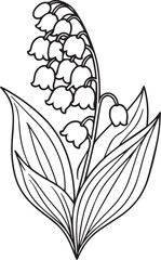 Lily of the valley flower drawing illustration. Black and white tattoo with lily of the valley, line art on white backgrounds, stock outline lily valley flower, freesh lily of the vally flower drawin