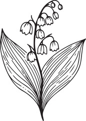 Birth month flower lilly of the valley line art vector illustrations Lily of The Valley May birth flower black ink sketch. Modern minimalist hand drawn design for logo, lilly or the valley wall art