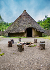 Irish Crannog
