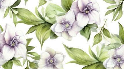 Obraz premium seamless pattern, Hellebore, Watercolor, white background