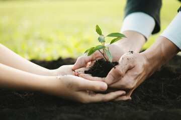 Businessman grow and nurture plant on fertilized soil with young boy as eco company committed to...