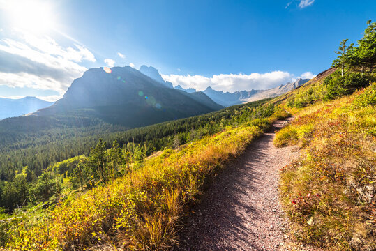 Hiking Through Bear Country