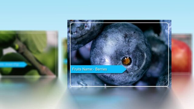 North American Fruits Animation, Fig, Apple, Huckleberries And Orange Fruits Slideshow Videos 