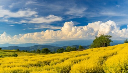 Watercolor-Style Design: Beautiful Blue and Yellow Sky with Clouds, Seamless Pattern