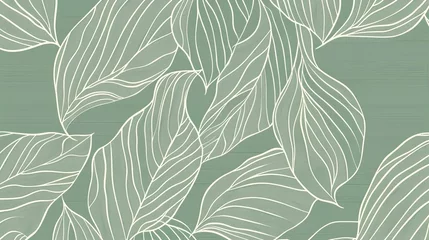 Gardinen Pflanzen Muster  A delicate pattern of abstract line art leaves on a soft green background, creating a serene and modern botanical design..  © SSTC AI Photo&Video