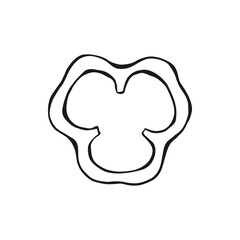 Pepper slices. Hand drawn vector illustration.