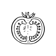 Tomato half. Hand drawn vector illustration in outline style.