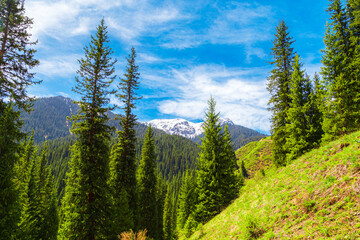 View of the Trans-Ili Alatau mountains in the national natural park on a bright sunny day.