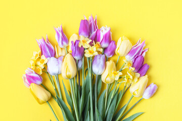Spring flower of purple and yellow tulips and yellow daffodils on a yellow background. Flat lay, copy space