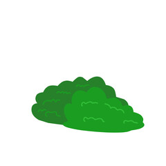 Bush vector illustration 