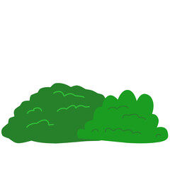 Bush vector illustration 