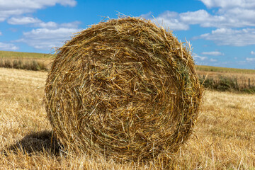 Hay bales rolled up in a scenic Alentejo field under a cloudy afternoon sky, Portugal. Serene rural landscape, perfect for agricultural and nature-themed projects.