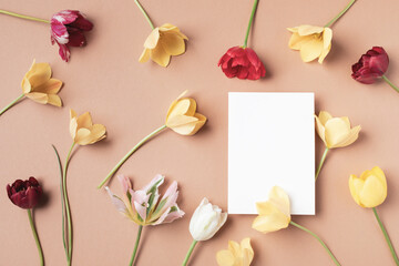 Beautiful aesthetic flowers with empty paper blank on neutral background top view. Minimal...