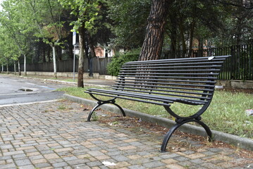 Bench in the park by morning
