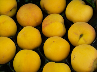 Seasonal peaches displayed for sale at the market