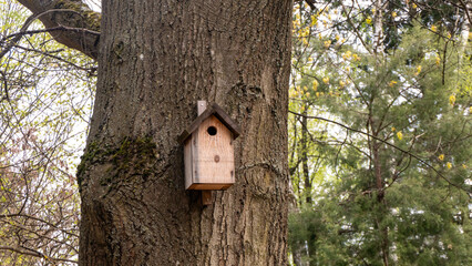Fototapeta premium A birdhouse is attached to a tree trunk