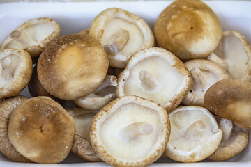 Fresh shitake or shiitake mushrooms (Lentinula edodes) in selective focus and fine details