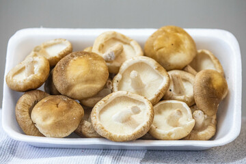 Fresh shitake or shiitake mushrooms (Lentinula edodes) in selective focus and fine details