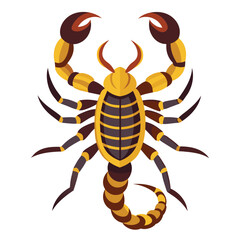 scorpion vector art illustration