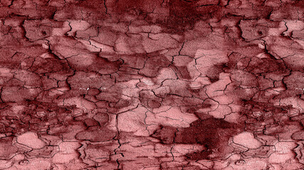 Tree walk texture background