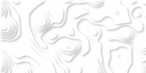 Abstract wavy line 3d paper cut white background with shadows. Abstract realistic papercut decoration textured with wavy layers. Topographic contour lines vector map seamless pattern vector.