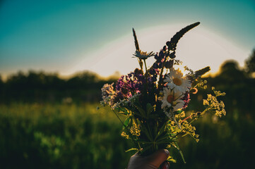 bouquet of colorful flowers at sunset