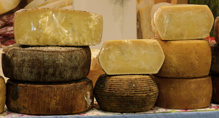 cheese counter at the cheese factory with pecorino or typical Italian aged cheese