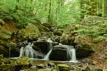 Beautiful view of the forest of la Géronstère