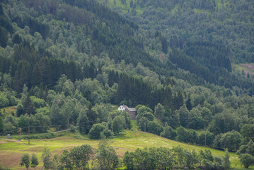 Landscape with green coniferous trees in forest Norway with residential private house on a warm summer day.