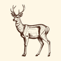 Reindeer Vintage Engraved Illustration Christmas Deer
