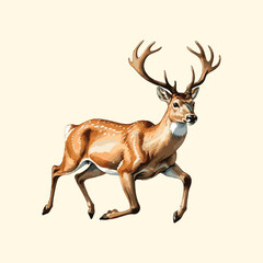 Reindeer Watercolor Painting Deer Illustration