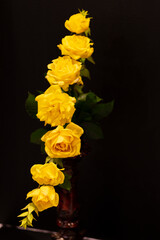 Greater Atlanta Rose Society rose show at the ATL Botanical Gardens