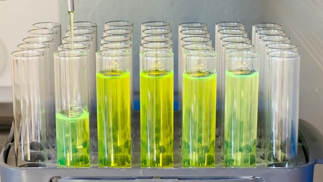 Green fluorescent compound is separated in automated machine. test tube fraction collection technique of column chromatography. Education and industrial concept.