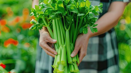 Fototapeta premium Harvest in the hands of a woman in the garden. Selective focus.